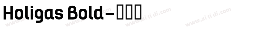 Holigas Bold字体转换
